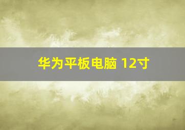 华为平板电脑 12寸